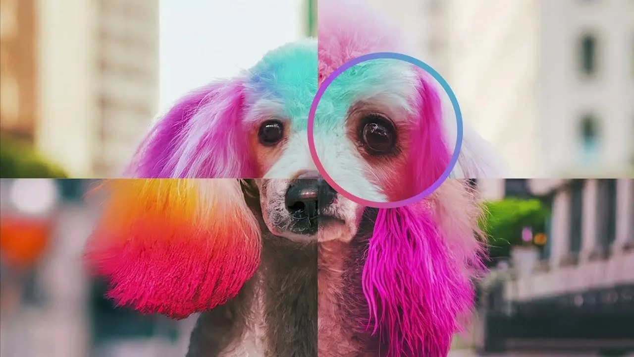 How AI content gets watermarked: SynthID, explained by Google DeepMind