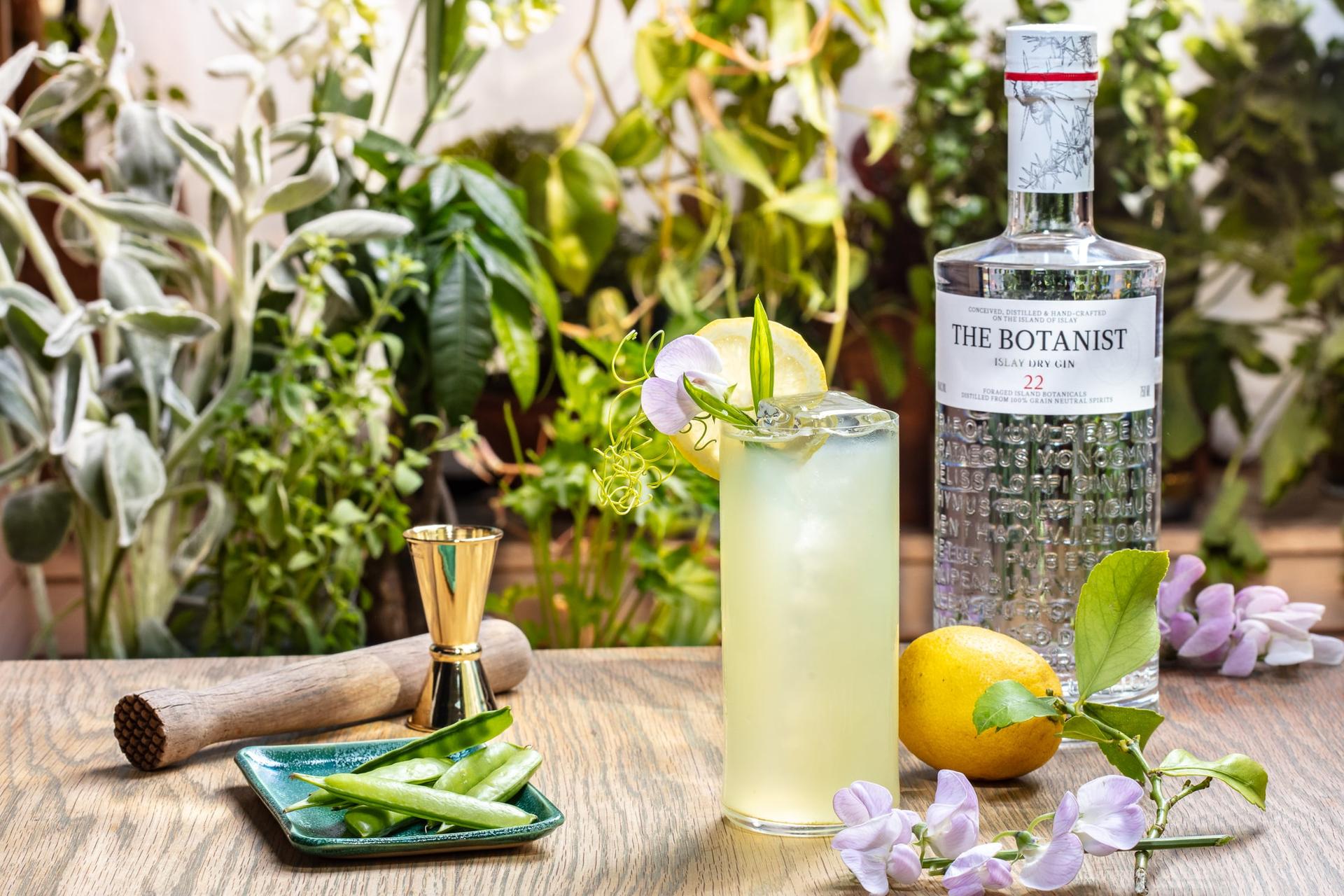 Cocktail with layered botanical garnish for spirits advertising - macro cocktail photography with controlled studio lighting