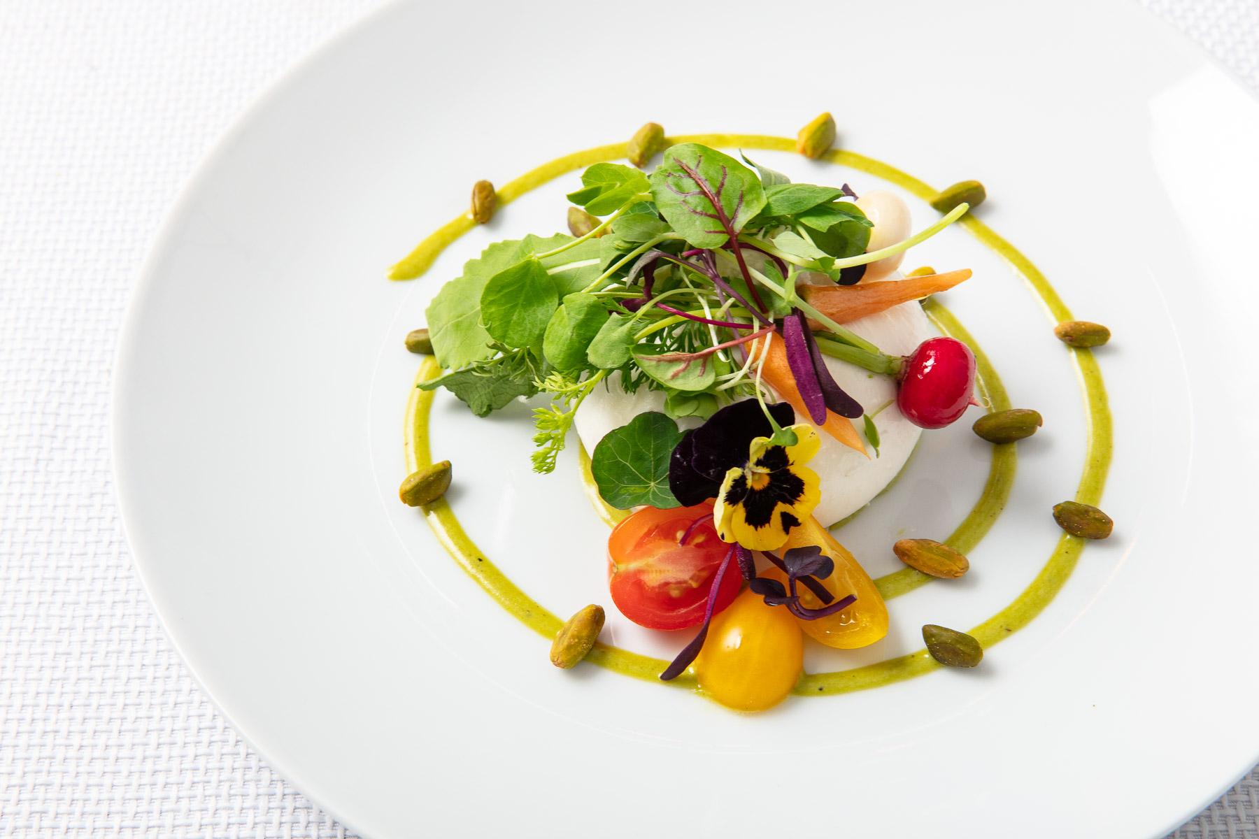 Fresh burrata cheese appetizer with tomatoes and basil