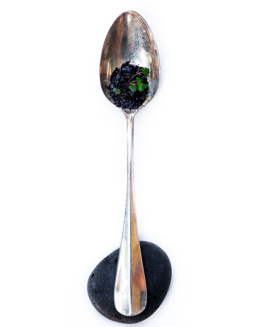 Spoonful portrait of Chef Matt Adolfi featuring soil, rock, and micro arugula with an elegant antique spoon.