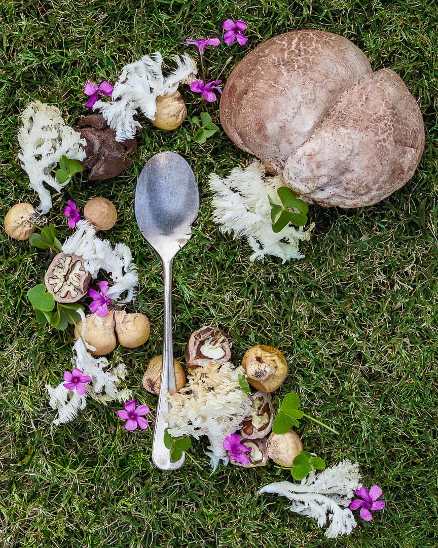 Spoonful portrait of Chef Ryan Smith featuring foraged mushrooms, hickory nuts, and sorrel in an interestingly shaped sentimental spoon.