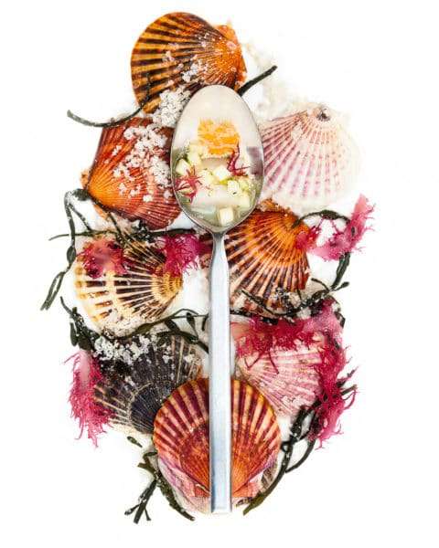Spoonful portrait of Chef Hadley Schmitt titled Creative Expression, featuring bay scallops, seaweed, and uni with a green apple relish in a market-driven seasonal composition.