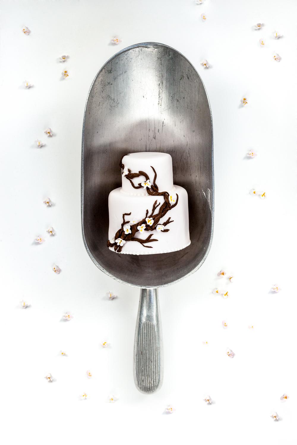 Spoonfuls of Inspiration done by or inspired by Ron Ben Isreal